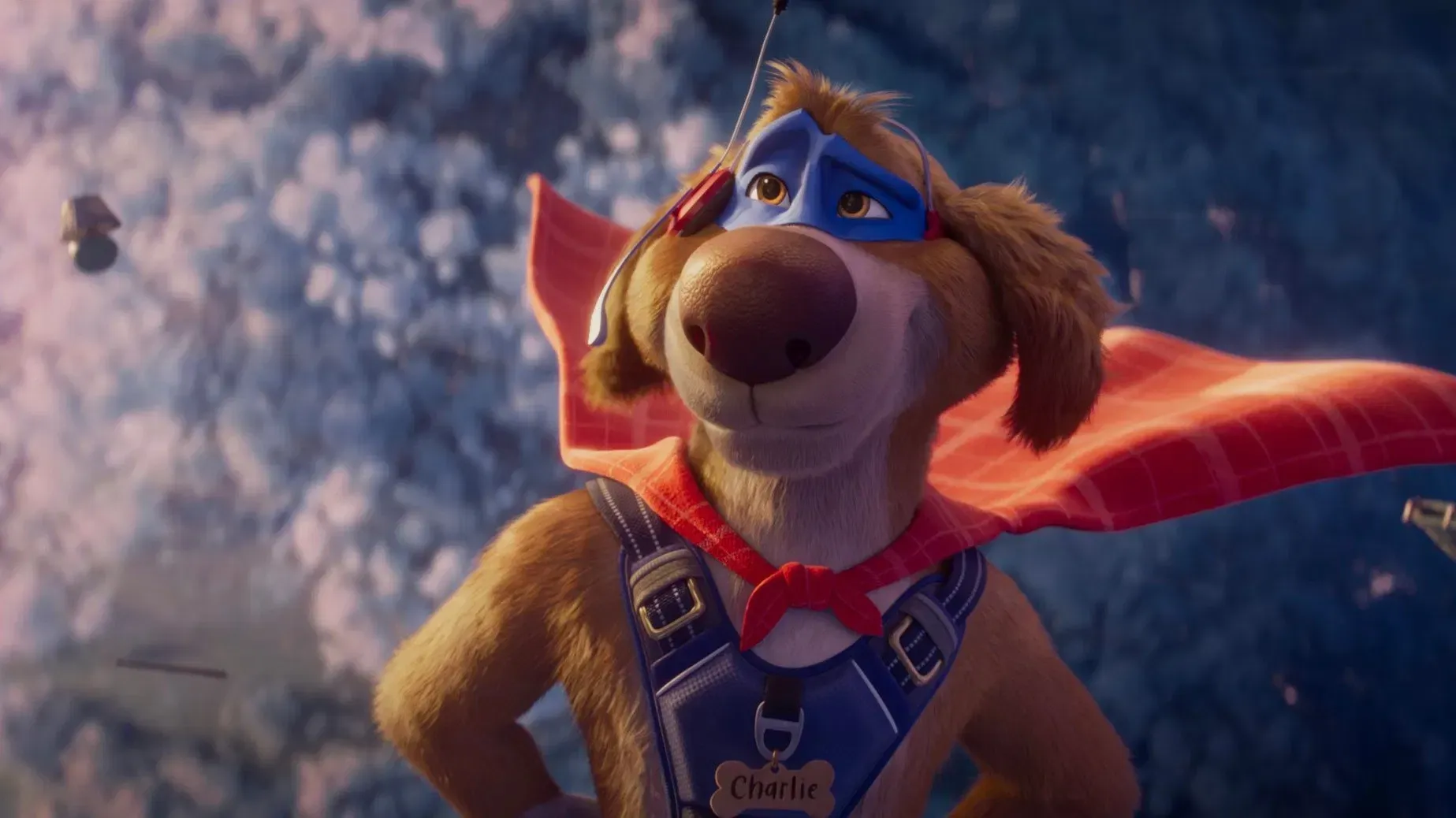 Charlie The Wonderdog 1.webp