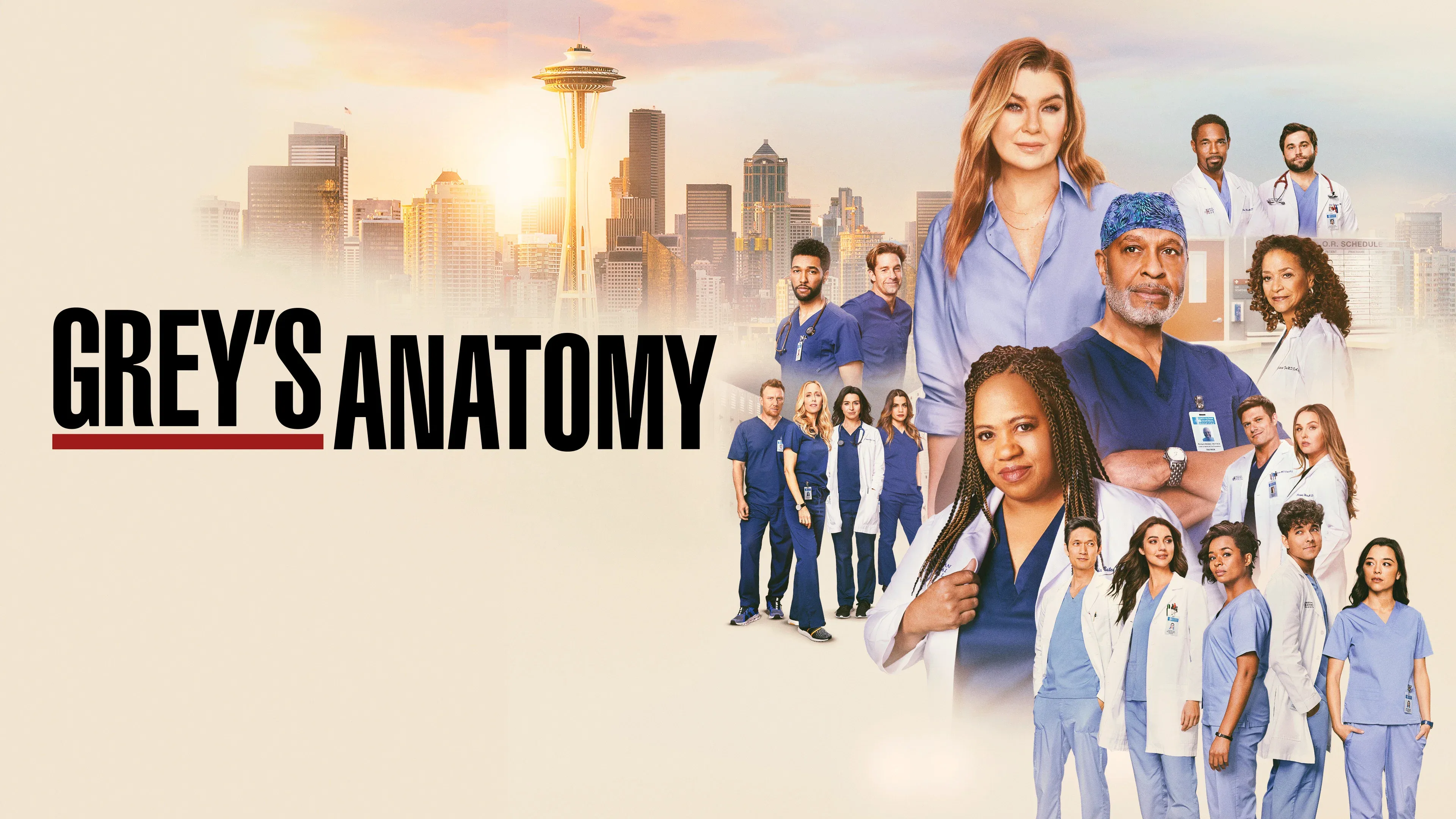 Grey's Anatomy.webp