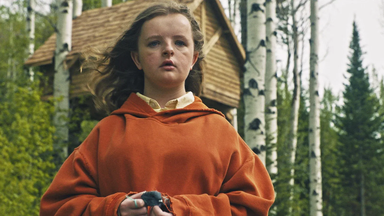 Hereditary 1.webp