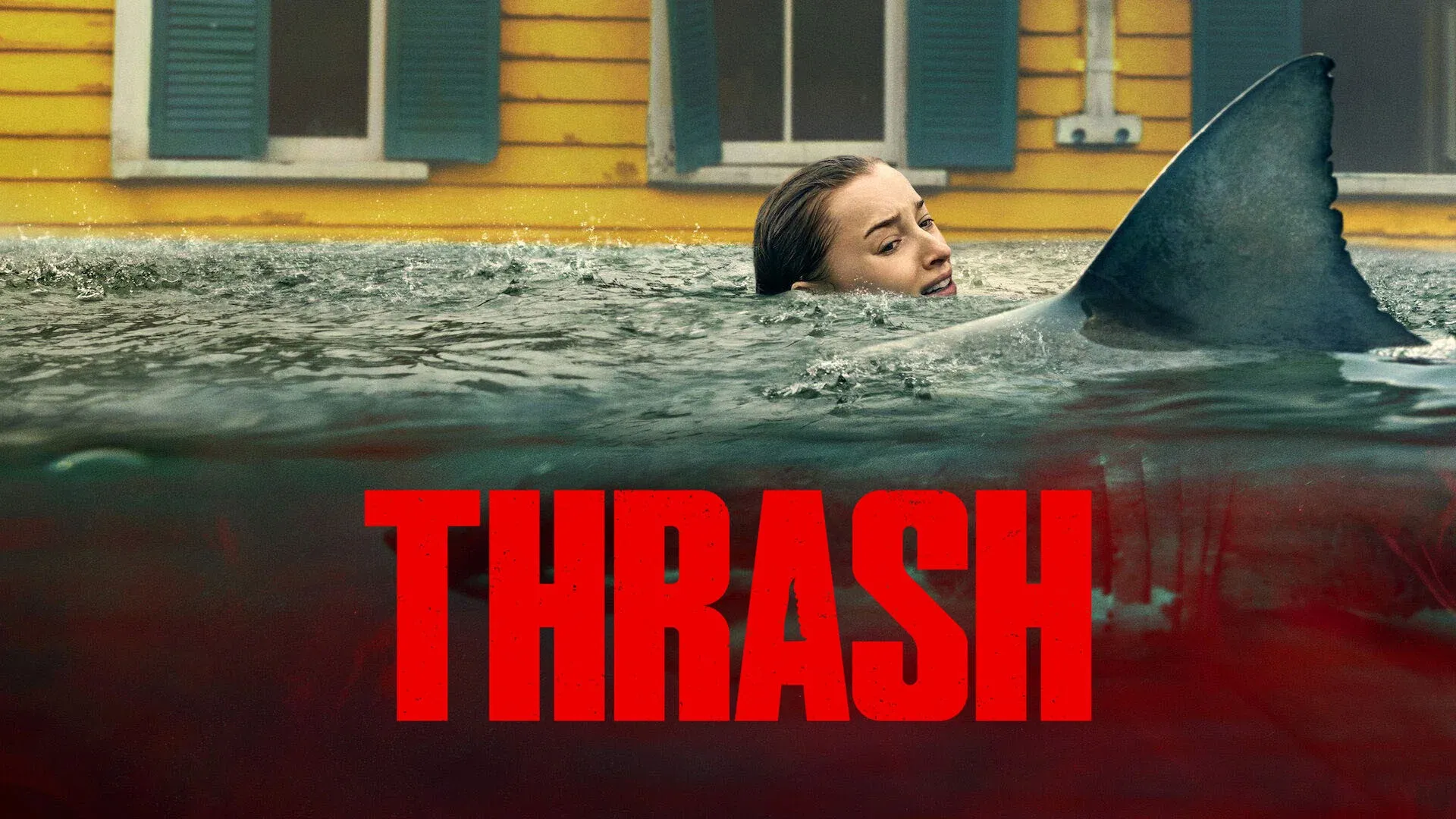 Thrash 1.webp